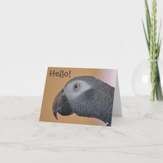 Carte de note de perroquet (Devant)