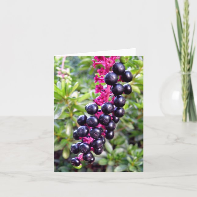Carte de note de Pokeweed (Devant)