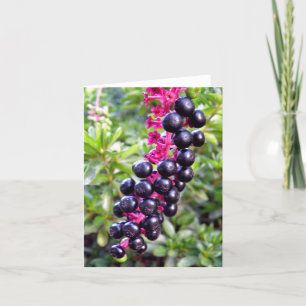 Carte de note de Pokeweed