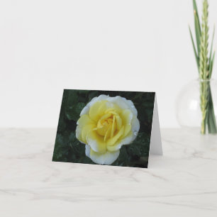 Carte de note de rose jaune
