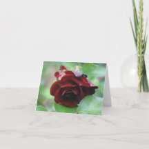 Carte de note de rose rouge profond élégante