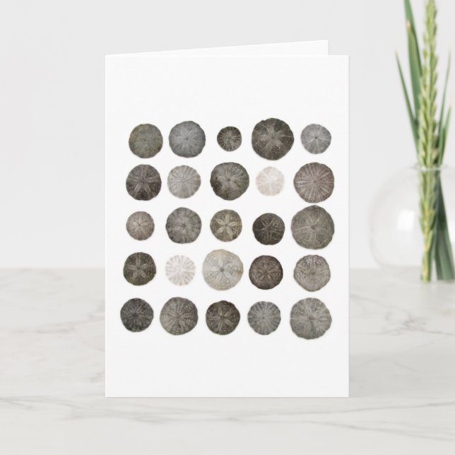 Carte de note de Sanddollars (Devant)