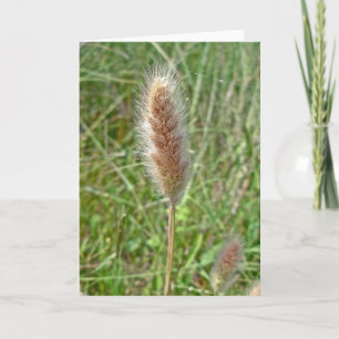 Carte de note de Seedhead d'herbe de marécage