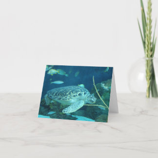 carte de note de tortue de mer