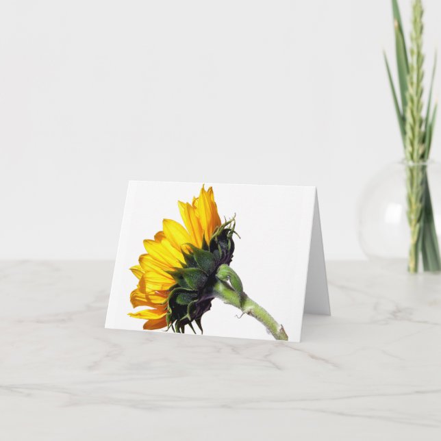 Carte de note de tournesol (Devant)