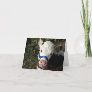 Carte de note de vache