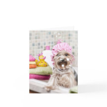 Carte de note de Yorkie