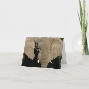 Carte de note d'éléphant de Taureau