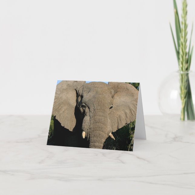 Carte de note d'éléphant de Taureau (Devant)