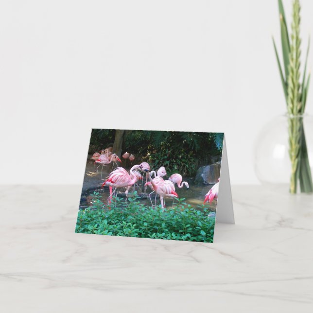 Carte de note des Flamants roses de combat (Devant)