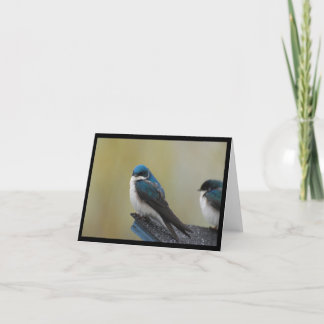 Carte de note d'hirondelle d'arbre (blanc)