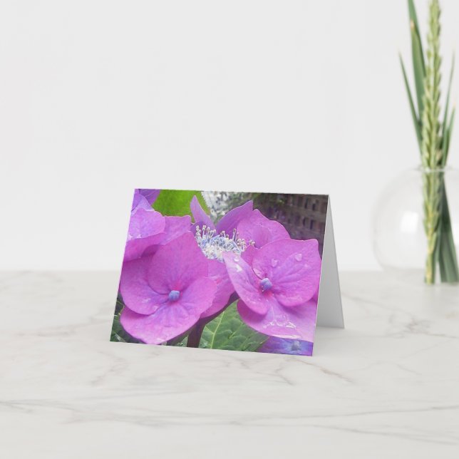 Carte de note d'hortensia de Lacecap (Devant)