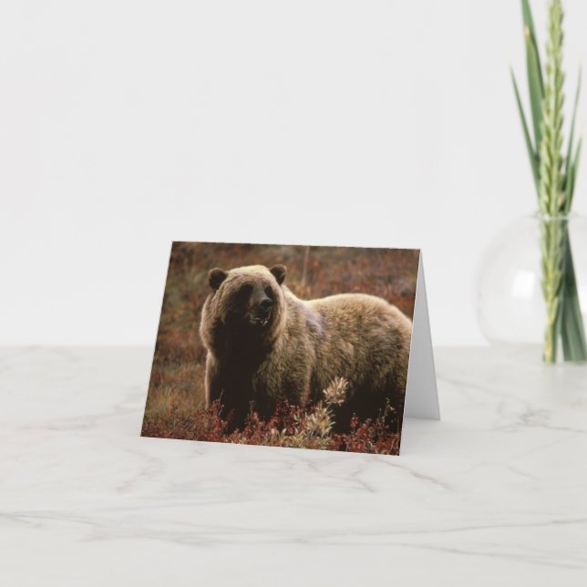 Carte de note d'ours gris (Devant)
