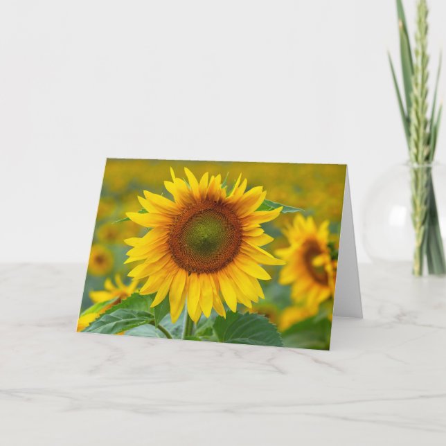 Carte de note en blanc de tournesol (Devant)