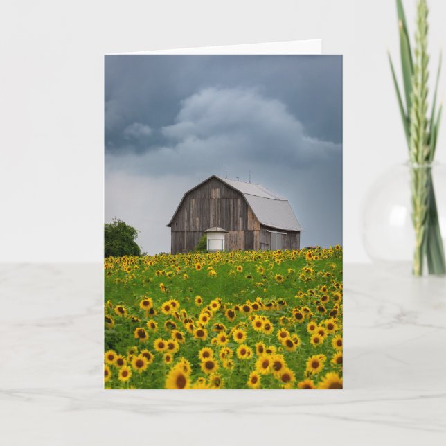 Carte de note en blanc sur la tempête de tournesol (Devant)