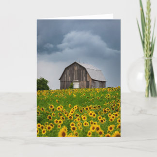 Carte de note en blanc sur la tempête de tournesol