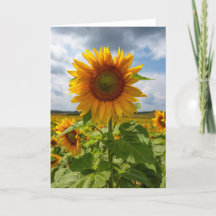 Carte de note en blanc sur la tempête de tournesol