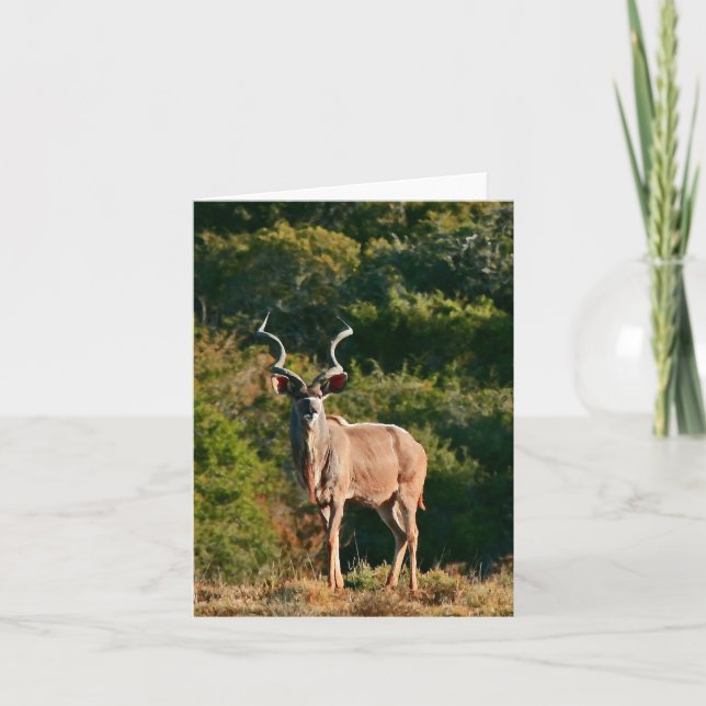 Carte de note est de Kudu de cap (Devant)