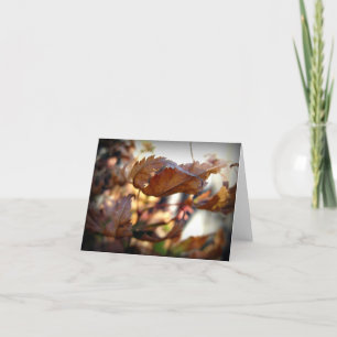 Carte de note feuille d'automne (Photographie)