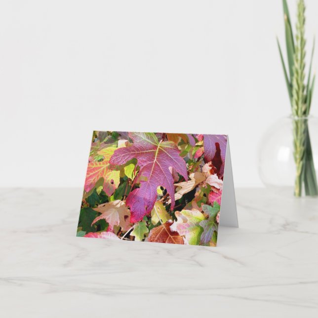 Carte de note 'Feuilles d'automne' (Devant)