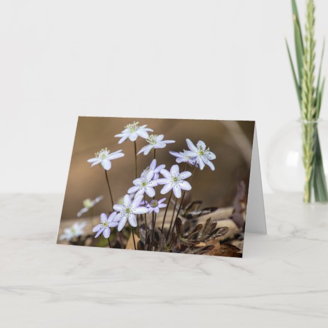 Carte de note Fleur sauvage de printemps violet (Devant)