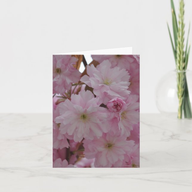 Carte de note : Fleurs de cerisier (Devant)