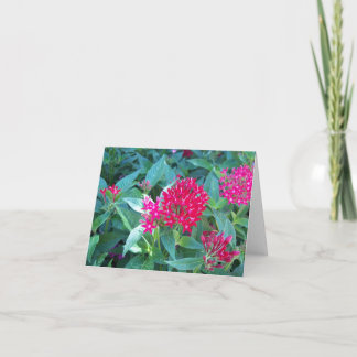Carte de note Fleurs roses