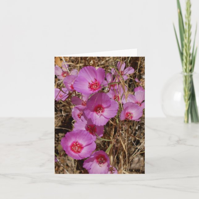 Carte de note Godetia (Devant)