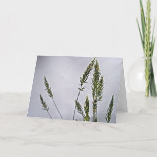 Carte de note Grass Seeds