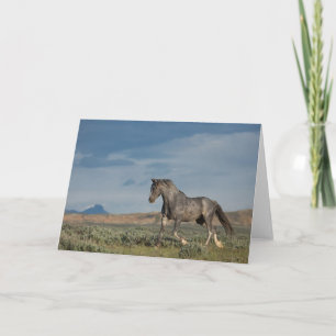 Carte de note "Grey Ghost"