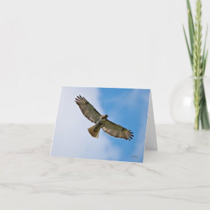 Carte de note Hawk