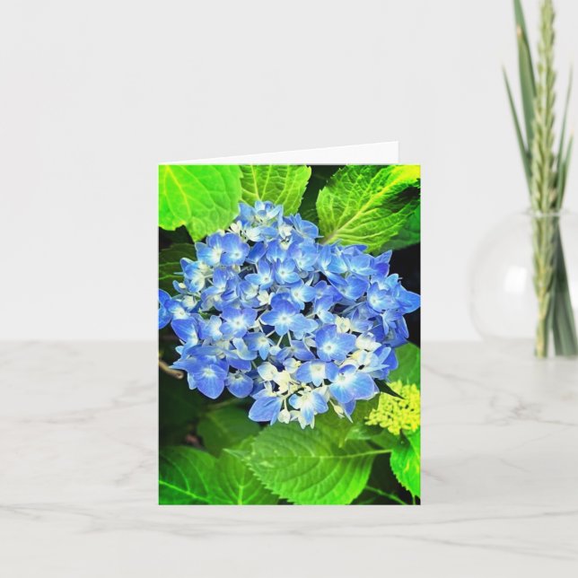 Carte de note Hydrangea (Devant)