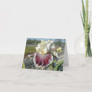 Carte de note Iris vierge "WONDERS JAMAIS CEASE"