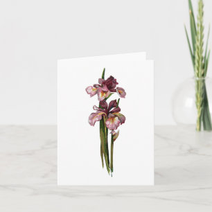 Carte de note Irises violettes
