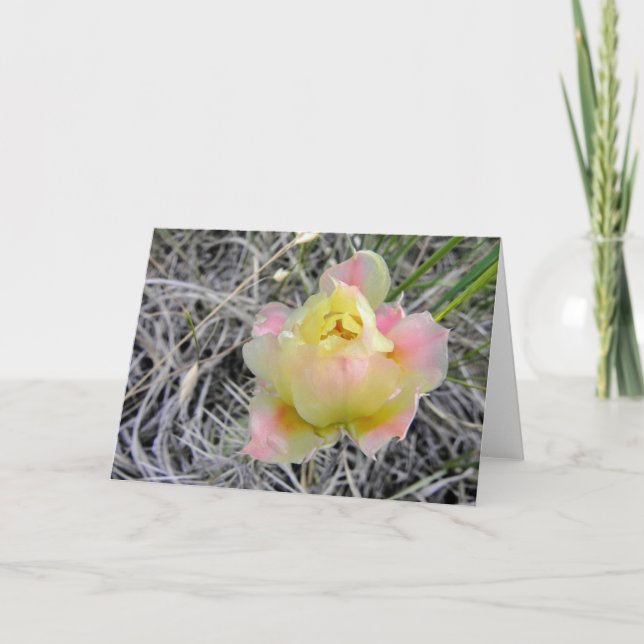 Carte de note jaune de fleur de cactus (Devant)