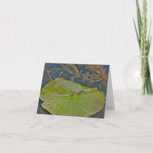 Carte de note Lily Pad & Damselfly
