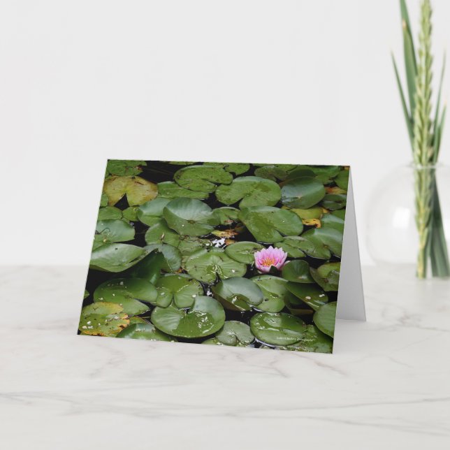 Carte de note Lily Pond (Devant)