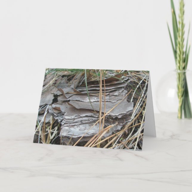 Carte de note Lob Lolly Pine Bark (Devant)