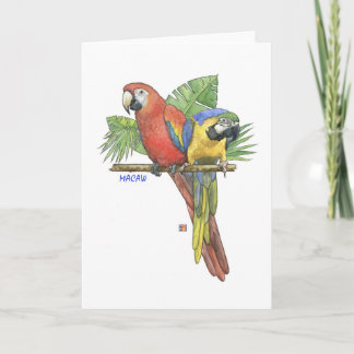 Carte de note Macaws Tropical
