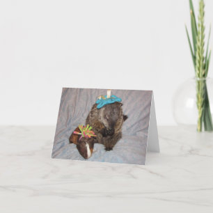 Carte de note Magnum et Bessie