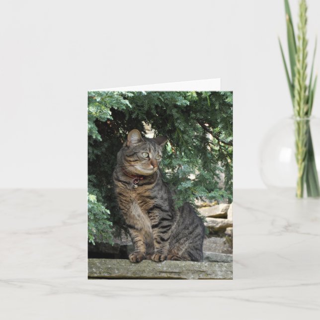 Carte de note : Minnie (Devant)