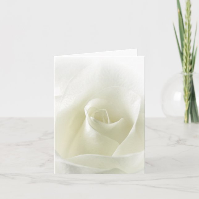 Carte de note molle de rose blanc (Devant)