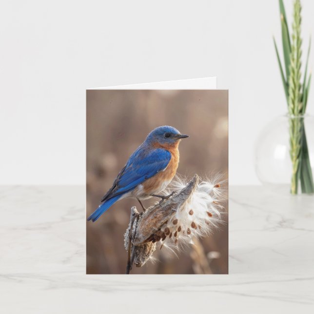 Carte de note Oiseau bleu sur une cosse de asclépi (Devant)