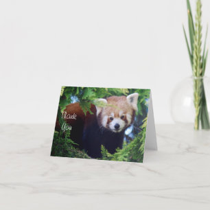 Carte de note Panda rouge