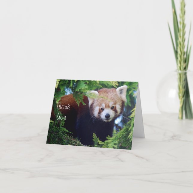 Carte de note Panda rouge (Devant)