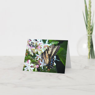 Carte de note papillon