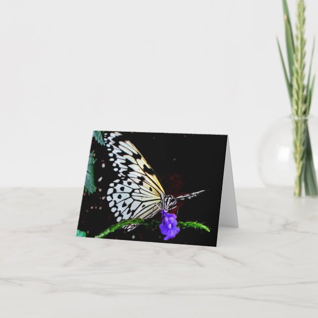 Carte de note papillon (Devant)