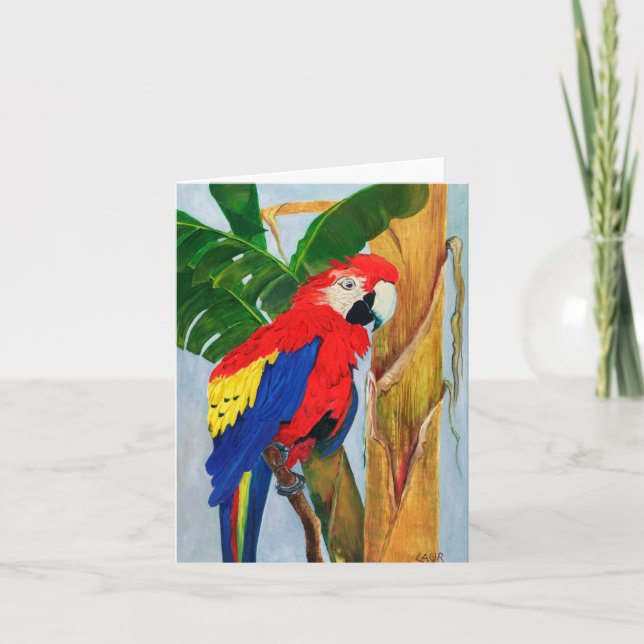 Carte de note - Perroquet tropical (Devant)