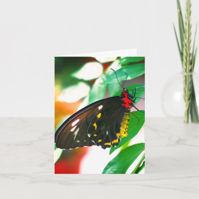 Carte de note personnalisable Black Butterfly Natu (Devant)