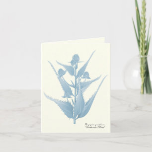 Carte de note Plante Master Prairie